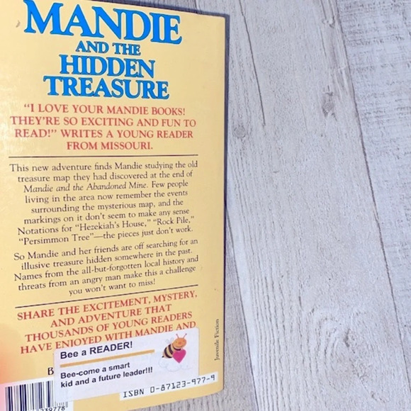 Mandie and the Hidden Treasure vintage paperback book - Picture 3 of 8
